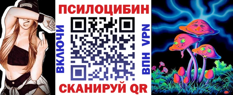 Псилоцибиновые грибы Psilocybe  Цимлянск 